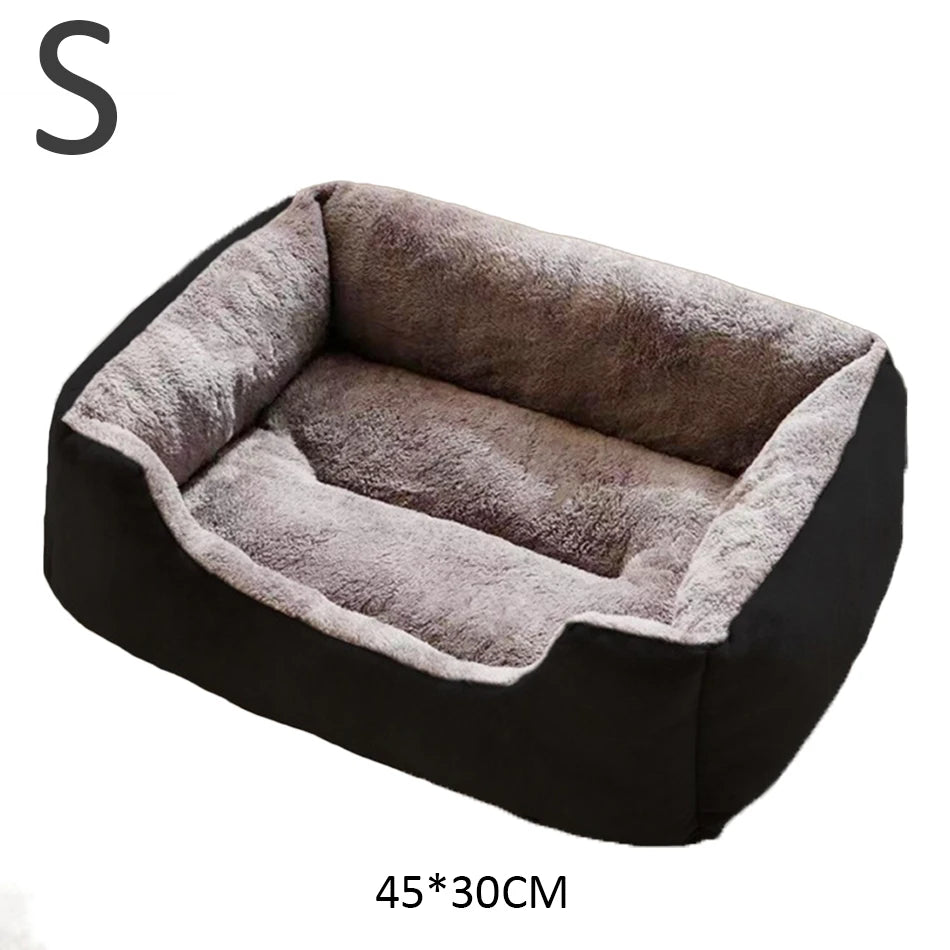 Bed for Cats Pet Products Goods Accessories Dog All Houses Supplies Cushions Kitten Things Accessory Habitats Basket House Beds