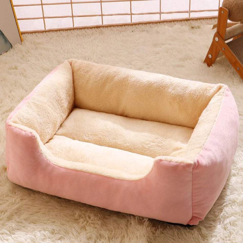 Bed for Cats Pet Products Goods Accessories Dog All Houses Supplies Cushions Kitten Things Accessory Habitats Basket House Beds