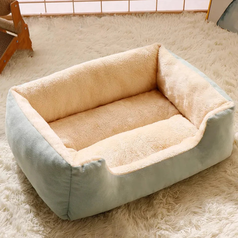 Bed for Cats Pet Products Goods Accessories Dog All Houses Supplies Cushions Kitten Things Accessory Habitats Basket House Beds