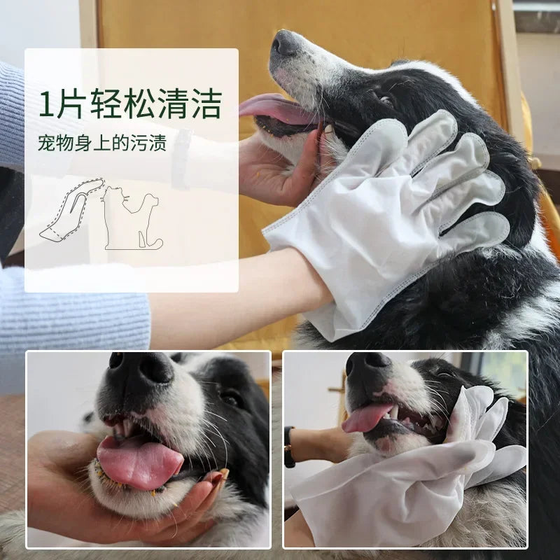 6PCS Pet Disposable Gloves, Pet Hydrolate Cleaning Gloves, No Rinse Pet Wipes Use for Pet Bathing, Pet Grooming Gloves, Pet Wipes Cleaning Massage Gloves,