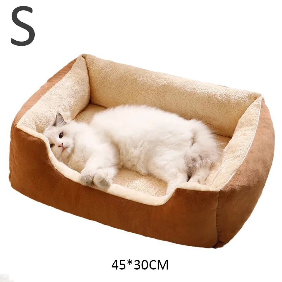 Bed for Cats Pet Products Goods Accessories Dog All Houses Supplies Cushions Kitten Things Accessory Habitats Basket House Beds