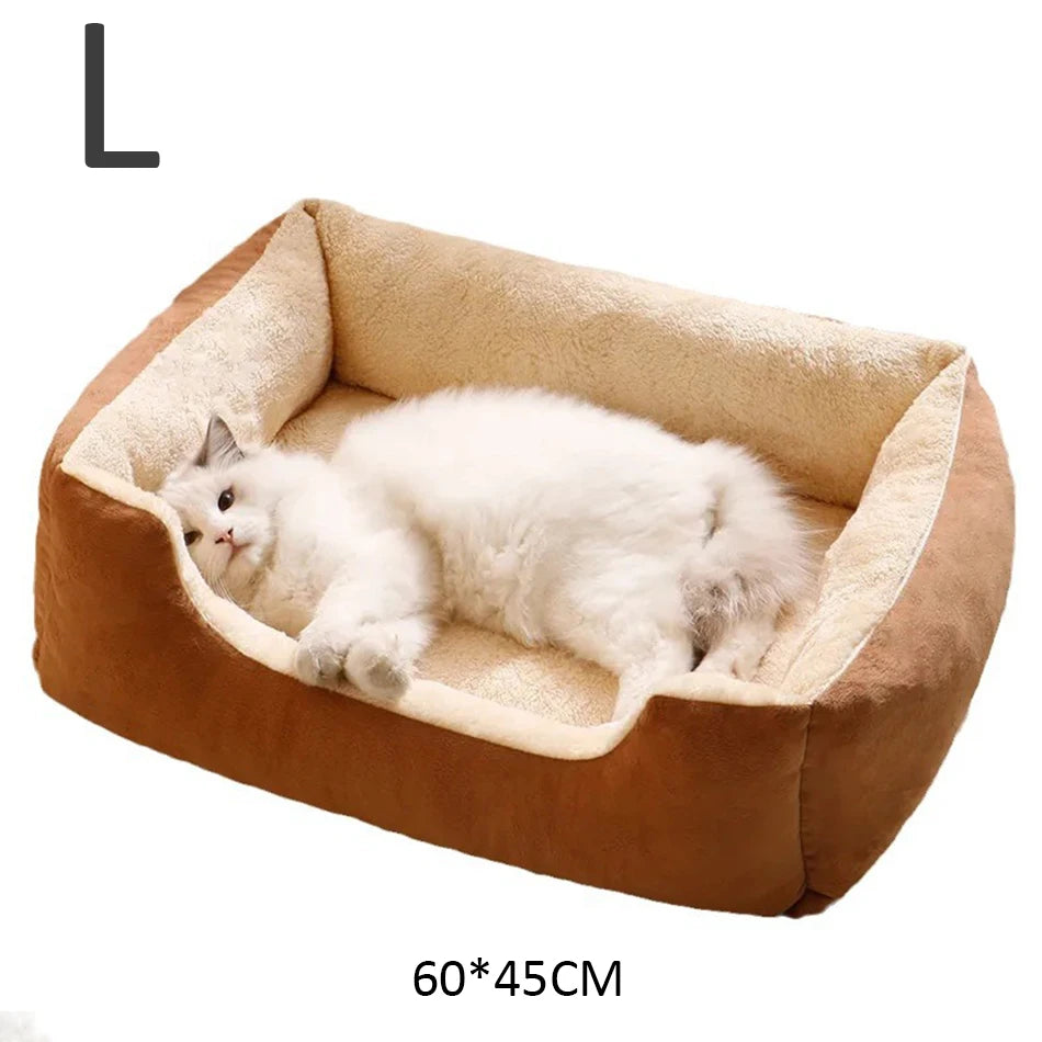 Bed for Cats Pet Products Goods Accessories Dog All Houses Supplies Cushions Kitten Things Accessory Habitats Basket House Beds