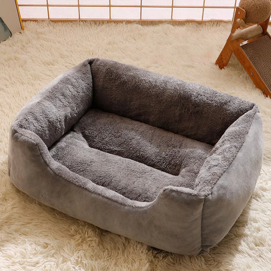 Bed for Cats Pet Products Goods Accessories Dog All Houses Supplies Cushions Kitten Things Accessory Habitats Basket House Beds