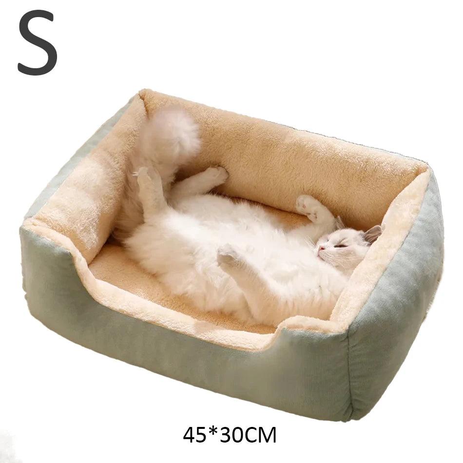 Bed for Cats Pet Products Goods Accessories Dog All Houses Supplies Cushions Kitten Things Accessory Habitats Basket House Beds