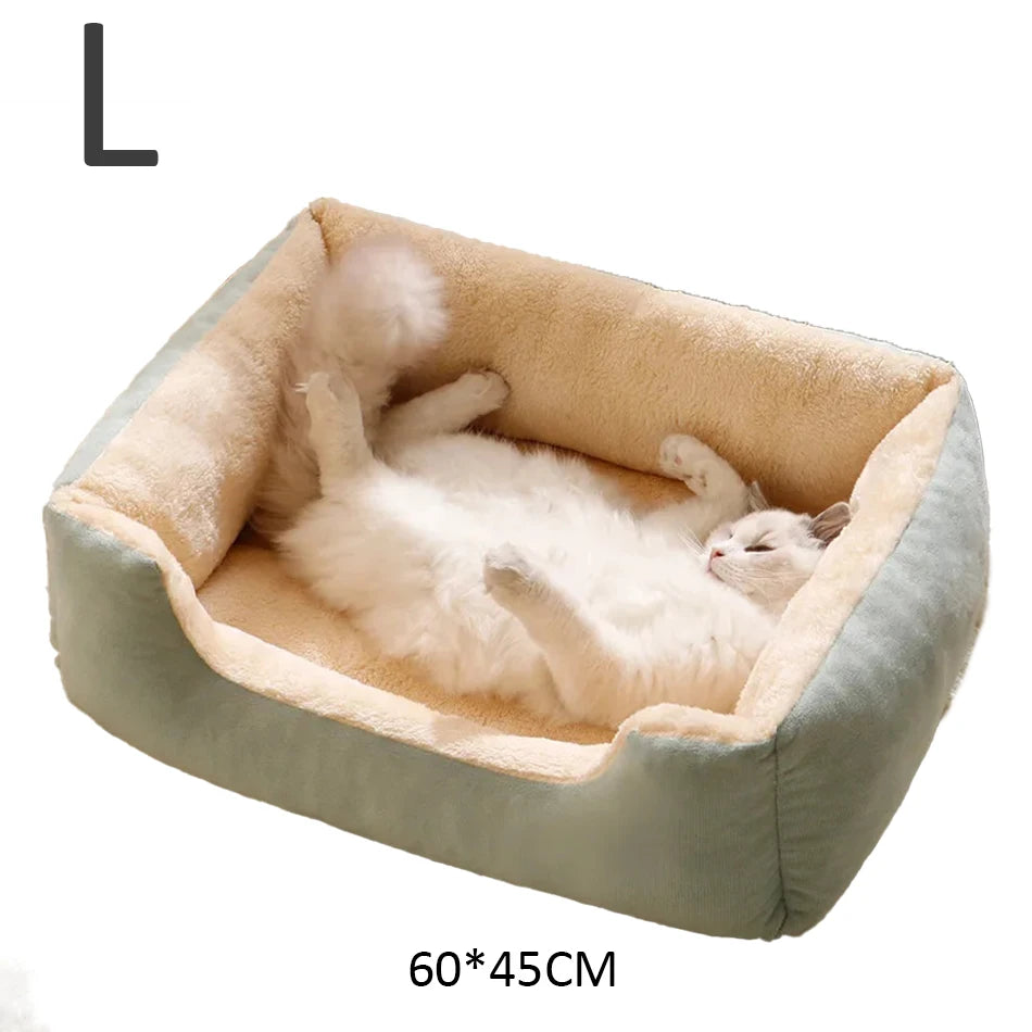 Bed for Cats Pet Products Goods Accessories Dog All Houses Supplies Cushions Kitten Things Accessory Habitats Basket House Beds