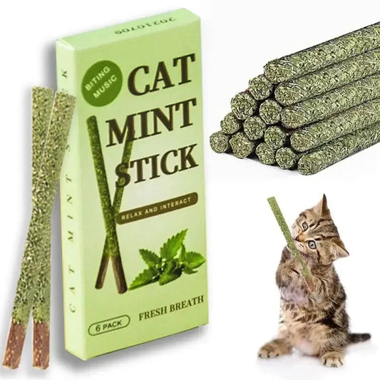 6pcs/Box Natural Matatabi Cat Mint Stick Silver Vine Caught Bite Excited Rods Silvervine For Teeth Cleaning Treating Toys