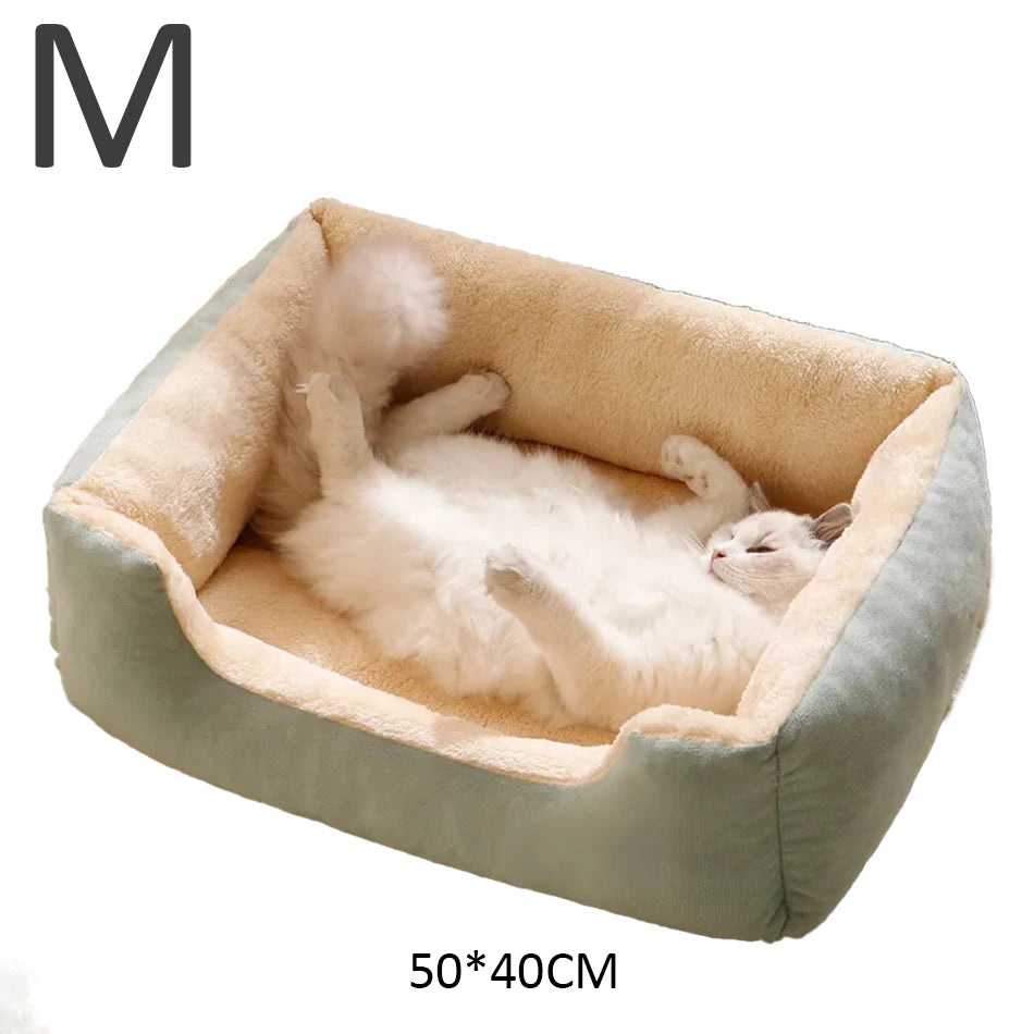 Bed for Cats Pet Products Goods Accessories Dog All Houses Supplies Cushions Kitten Things Accessory Habitats Basket House Beds