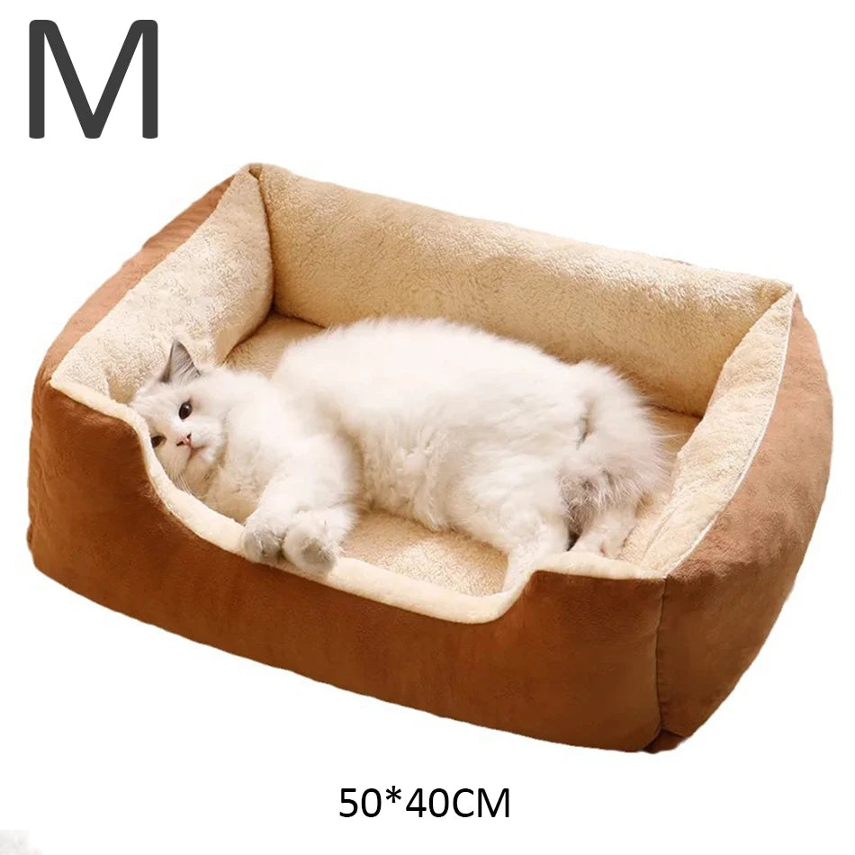 Bed for Cats Pet Products Goods Accessories Dog All Houses Supplies Cushions Kitten Things Accessory Habitats Basket House Beds