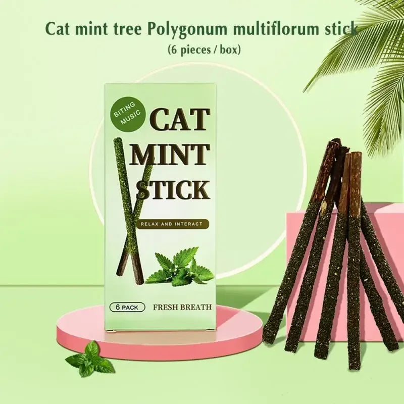 6pcs/Box Natural Matatabi Cat Mint Stick Silver Vine Caught Bite Excited Rods Silvervine For Teeth Cleaning Treating Toys